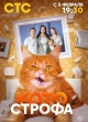 Котострофа