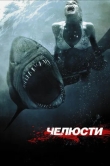 Челюсти 3D