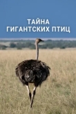 Тайна гигантских птиц 