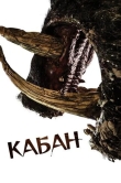 Кабан