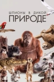  Шпионы в дикой природе 