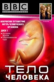  BBC: Тело человека 