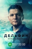 Дельфин