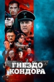 Гнездо кондора