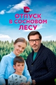 Отпуск в сосновом лесу