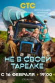  Не в своей тарелке 
