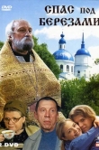 Спас под березами