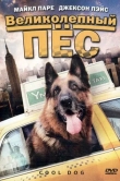 Великолепный пес