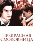 Прекрасная смоковница