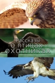 Рассказы о птицах-охотниках