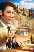 Бутон розы