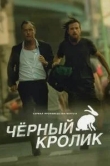 Чёрный кролик