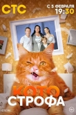 Котострофа