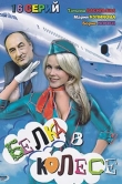 Белка в колесе