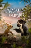  Медвежий переполох 