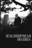  Земляничная поляна 