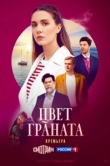  Цвет граната 