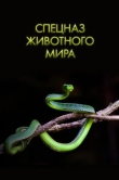 Спецназ животного мира
