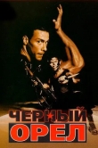 Черный орел