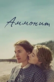  Аммонит 