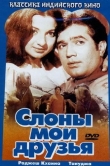 Слоны - мои друзья