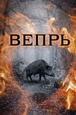 Вепрь