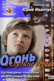 Огонь в глубине дерева