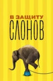  В защиту слонов 