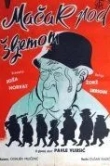 Кот под шлемом