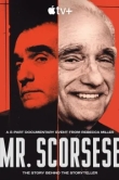  Мистер Скорсезе 