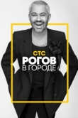  Рогов в городе 