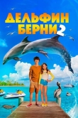 Дельфин Берни 2