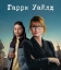 Гарри Уайлд